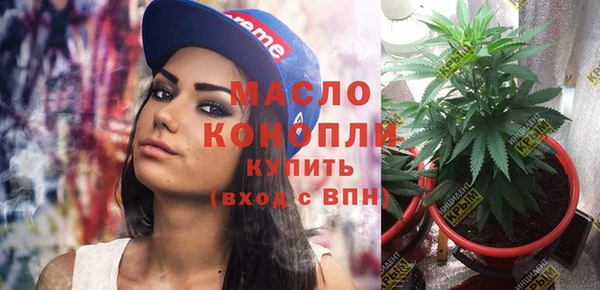 дмт Нея