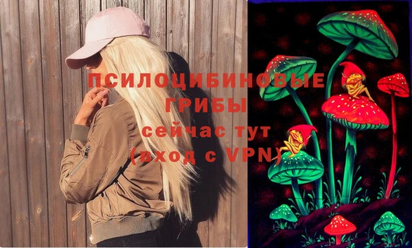 a pvp Алексин
